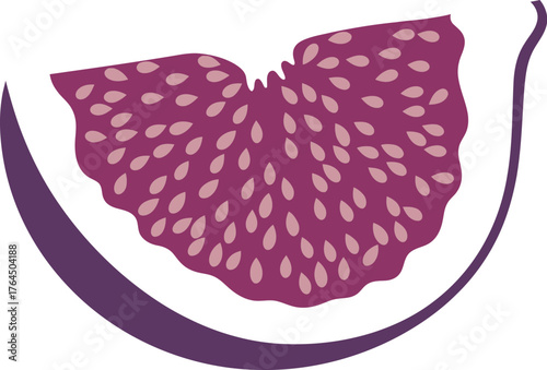 Close up illustration of a ripe fig slice showing seeds and skin