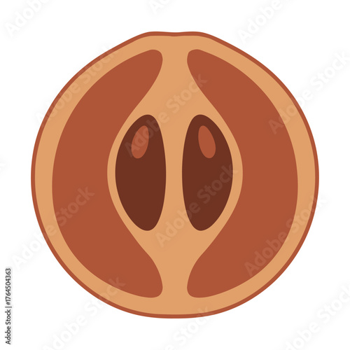 Cross section of a ripe fruit showing seeds and fleshy pulp