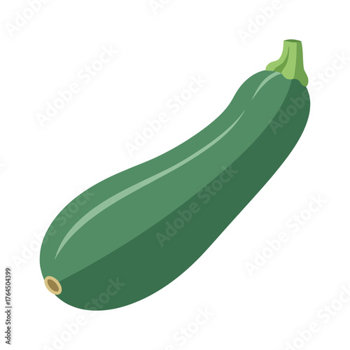 Single green zucchini vegetable isolated on white background illustration