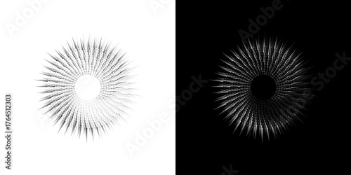 Dynamic abstract spiral sound wave rhythm lines. Circular spiral sound wave rhythm of lines. Circular futuristic abstract lines, black and white background.