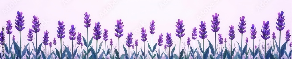 Fototapeta premium Multiple lavender sprigs, different shades of purple, flat vector style , graphic, purple, herbs