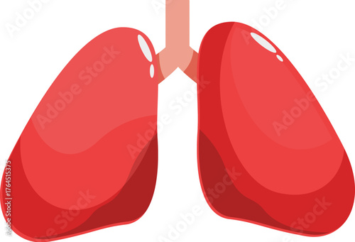 Illustration of healthy human lungs, essential for respiration and oxygen exchange