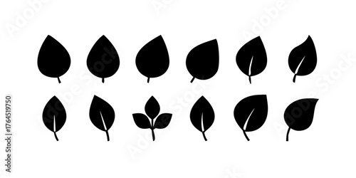 Collection of leaf icons. Black icons isolated on a white background. Vector illustration
