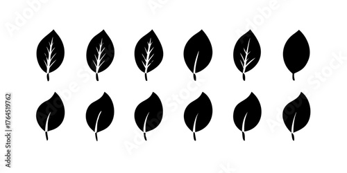Collection of leaf icons. Black icons isolated on a white background. Vector illustration