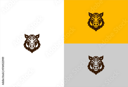 Boar head graphic on white, gold, and gray backgrounds, intense gaze