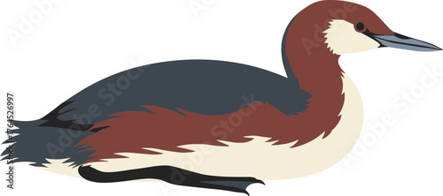 Flat Illustration Red Necked Grebe Aquatic Bird Isolated Illustration