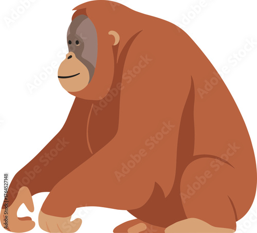 Simple Flat Illustration of an Orangutan Sitting on the Ground Animal