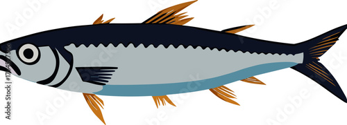 Flat Graphic Simple Tuna Fish Aquatic Sea Life Illustration