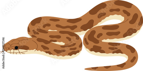 Simple Flat Illustration of a Brown Spotted Snake Reptile Animal