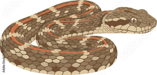 Flat Graphic Style Snake with Detailed Scales and Markings Illustration