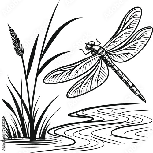 Delicate dragonfly resting on tall grass blades in a serene outdoor landscape isolated on transparent background