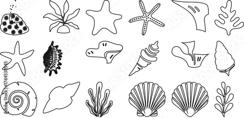 Collection of Hand-Drawn Marine Life and Shell Illustrations