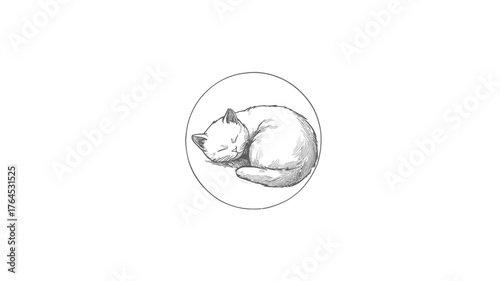 Cute hand-drawn illustration of a sleeping white cat curled up peacefully in a minimalist circular sketch on a clean white background
