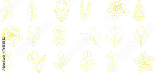 Collection of Yellow Outline Floral and Leaf Illustrations on White Background