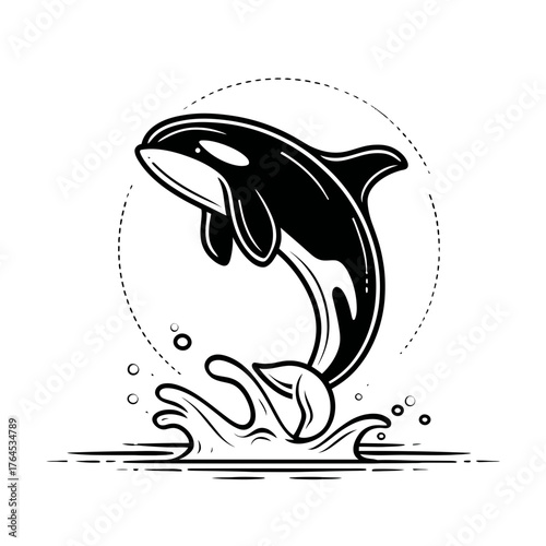 Dynamic Killer Whale Orca Leaping from Water with Splashes, Minimalist Black and White Vector Illustration, Marine Wildlife