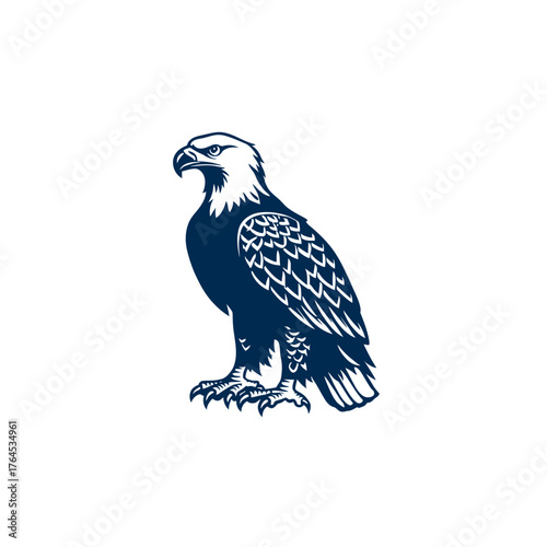 Stylized majestic eagle illustration in a heraldic and powerful graphic design. Detailed predatory bird vector artwork.