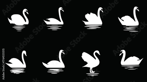 Elegant white swan silhouettes vector set on black background, showcasing various poses with water reflections. Graceful waterfowl illustration.