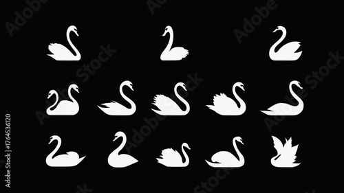 Elegant white swan silhouettes set on black background, graceful waterfowl vector icons, various bird poses and shapes, minimalist design.