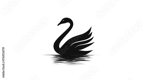 Elegant black swan vector illustration. Graceful swimming water bird with reflection, minimalist design on a white background.