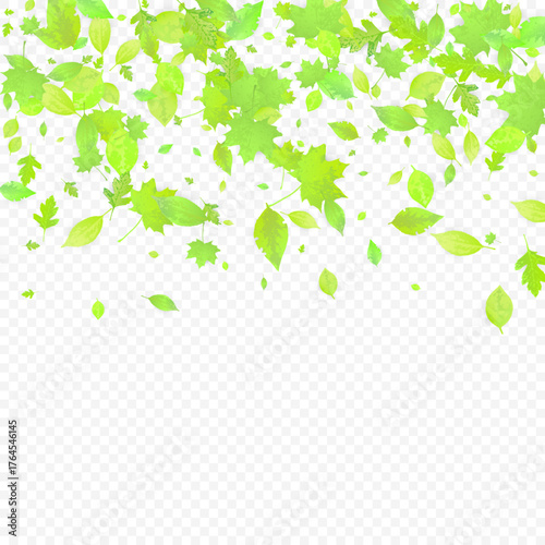 Leaves Falling. Spring Flying Foliage. Chaotic Green Leaf Flying On Transparent Background. Forest Design, Nature Elements. Ecology Vector Illustration. 