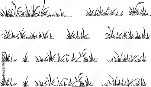 Black and White Hand Drawn Grass and Flower Border Elements on White Background Keywords: grass, border, black and white, hand drawn, illustration, nature