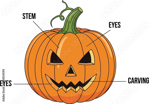 Vector art of jackolantern pumpkin with labeled parts