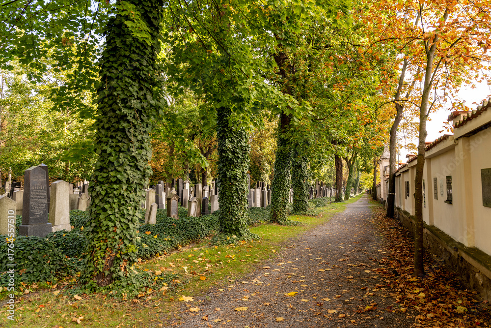 Naklejka premium The New Jewish Cemetery in Zizkov district, Prague, Czechia, where notable people such as Kafka are buried.