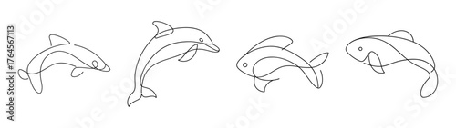 Four detailed sketches of plecostomus fish showing different angles and poses for artistic reference and aquatic enthusiasts