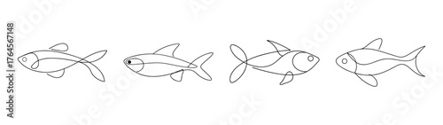 Detailed ink sketch of three rummy nose tetra fish swimming in close proximity underwater
