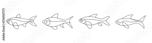 Set of four detailed line art drawings of diverse rasbora fish species underwater aquatic life