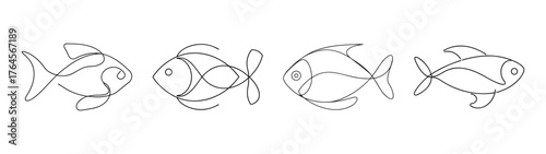 Four detailed sketch drawings of a silver dollar fish showing different angles and body details for design
