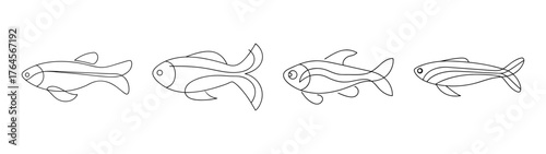 Four artistic line drawings of zebra danio fish showing body and fin details in monochrome