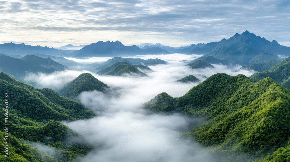 Obraz premium Lush green mountains rise above thick layer of fog, creating serene and dreamy landscape