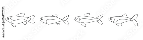 Four detailed line drawings of celestial pearl danio fish underwater aquatic life study