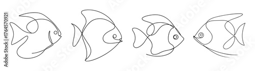 Four outline sketches of discus fish showing distinct body shapes and fins in sequence