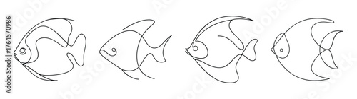 Discus fish collection line art sketches showing different angles and details of aquatic life