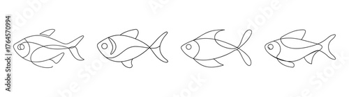 Detailed line art sketch of four ember tetra fish in different poses and angles for study or decoration