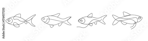 Harlequin rasbora fish line art drawing delicate sketch aquatic animal underwater life