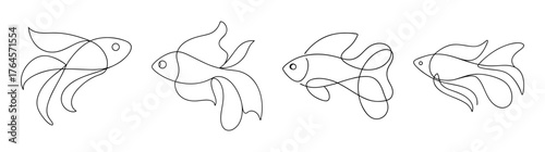 Four detailed line art sketches of betta fish demonstrating flowing fins and body details