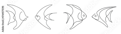 Four angelfish silhouettes delicate line art showing unique aquatic life forms