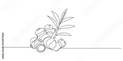 Continuous Line Drawing of Ginger Root,Ginger Food Fresh Cooking one line art vector illustration,Continuous Line Art of Ginger Root and Leaves