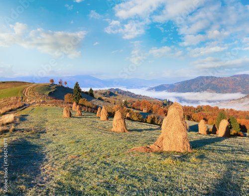 Autumn misty morning mountain hill