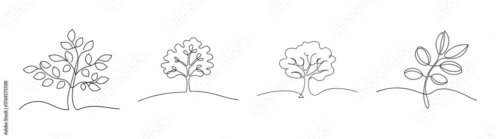 Four detailed pen and ink sketch variations of a walnut tree with textured foliage and branches