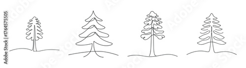 Four delicate pencil sketch drawings of tall redwood trees with detailed foliage and ground detail