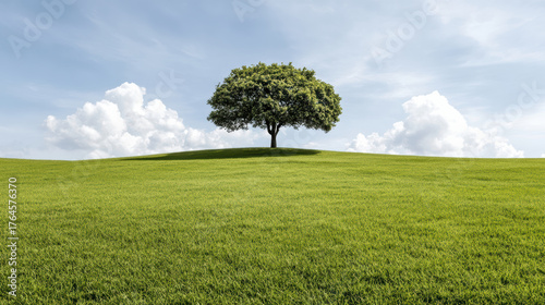 Fototapeta Naklejka Na Ścianę i Meble -  Serene landscape featuring single tree on vast green field under blue sky with fluffy clouds