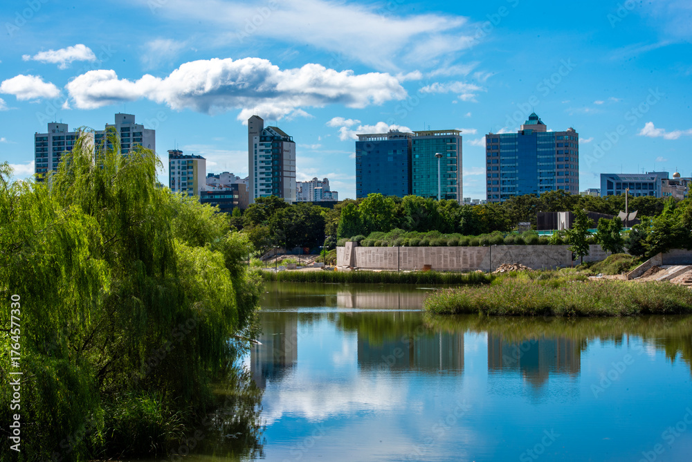 Obraz premium 도심의 아름다운 가을날