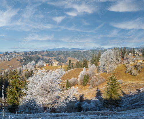Winter coming. Picturesque moody morning scene in late autumn mountain countryside with hoarfrost on grasses, trees, slopes. Ukraine, Carpathian Mountains.