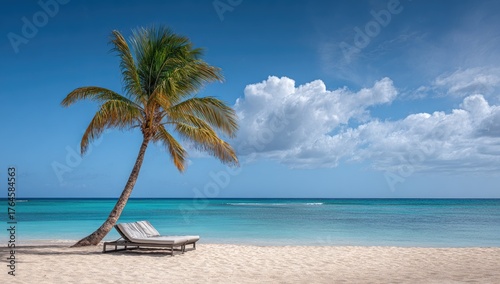 Tropical beach scene with a lone palm tree