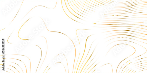 Abstract wave paper curved reliefs background. gradient multicolor wave curve lines banner background design. Topographic background and texture, monochrome image. 3D waves, White wave paper curved re