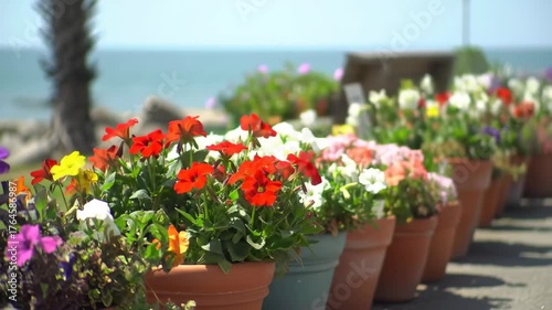Wallpaper Mural Line of colorful flowers in pots, ocean view, outdoors, ideal for vacation, travel, or garden design Torontodigital.ca